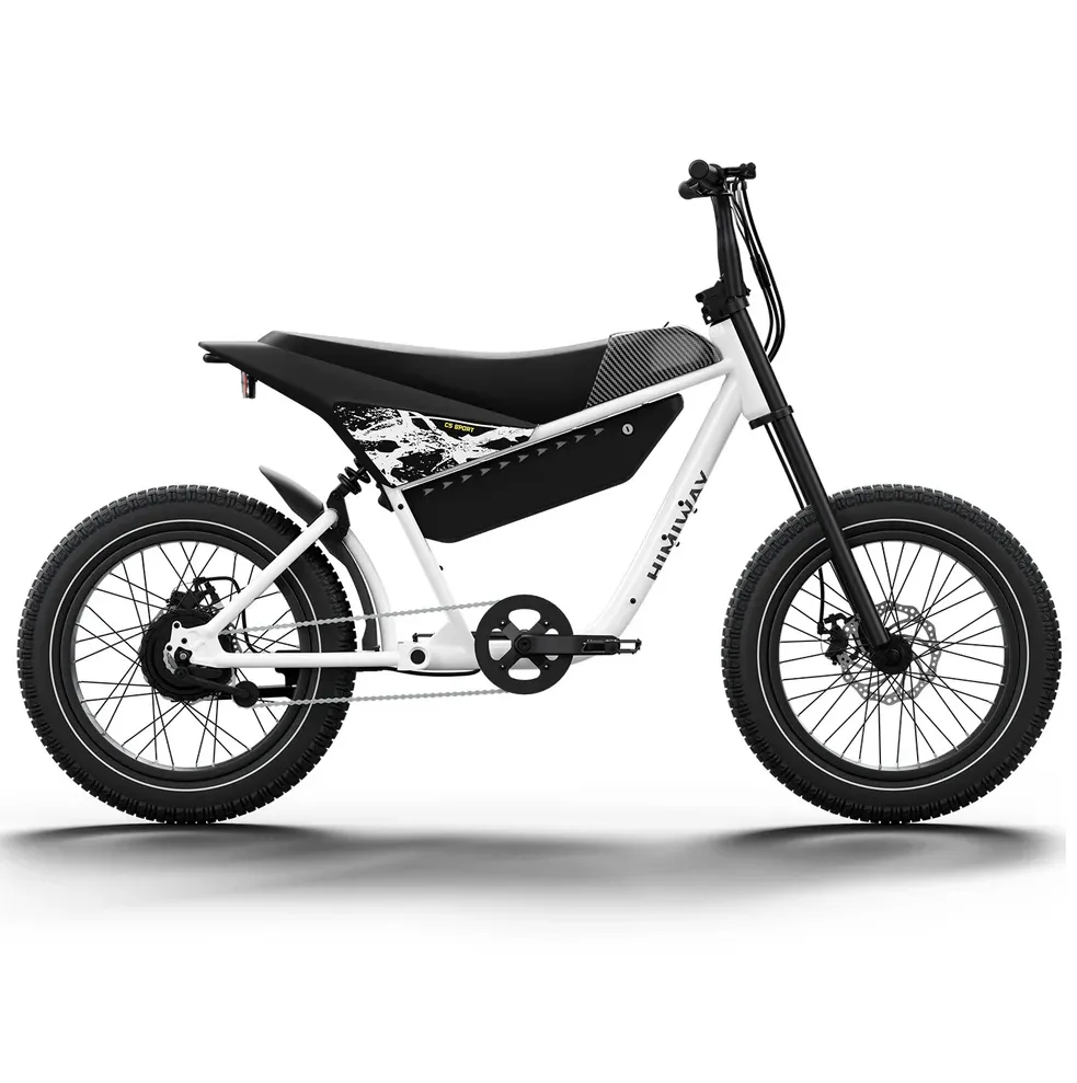 Himiway 750W 48V C5 Motor Electric Bike