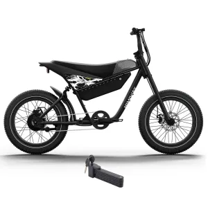 Himiway 750W 48V C5 Motor Electric Bike
