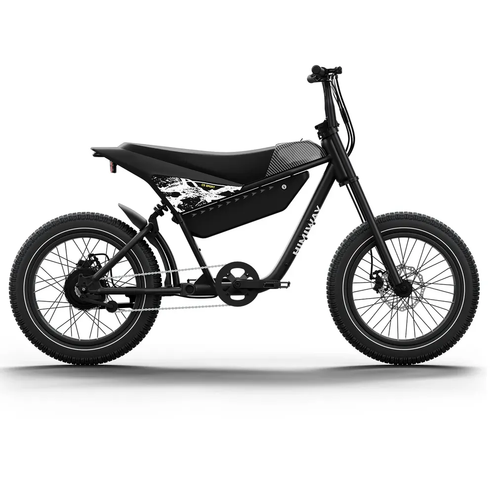 Himiway 750W 48V C5 Motor Electric Bike