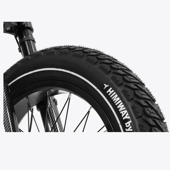 Himiway 750W 48V C5 Motor Electric Bike