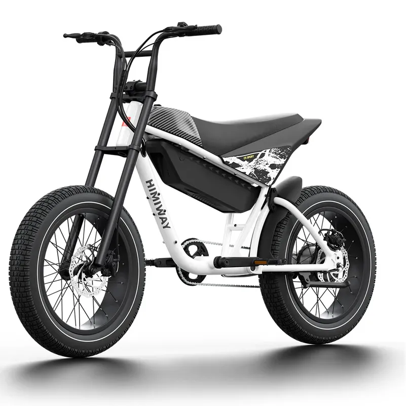 Himiway 750W 48V C5 Motor Electric Bike