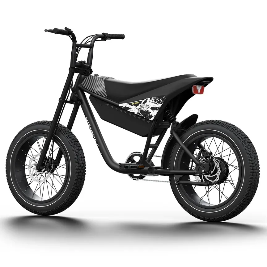 Himiway 750W 48V C5 Motor Electric Bike