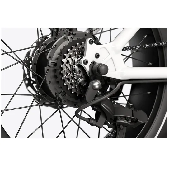 Himiway 750W 48V C5 Motor Electric Bike
